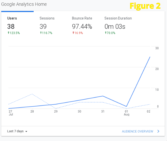 Google Analytics main graph